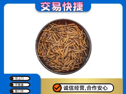 海东礼品回收虫草.jpg